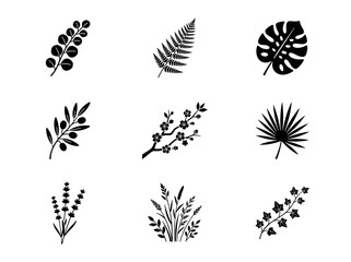 Obraz premium Black botanical icons set featuring various tropical leaves and floral plant silhouettes.