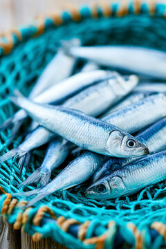 Fresh raw sardines resting inside a blue fishnet basket on a wooden background.