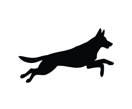Black silhouette of a german shepherd dog jumping or running in motion, isolated on a white background, of a canine in action pose