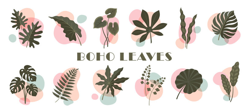 Bohemian floral tropical plants, boho organic monstera leaf with abstract geometric shapes. Modern boho art tropical leaves set of monstera, philodendron and fern, aralia, fig and calathea plants