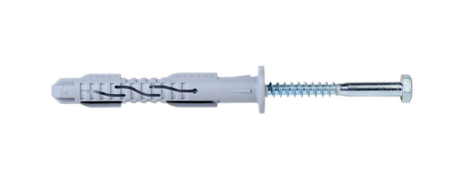 Plastic dowel plug with metal screw isolated on white.