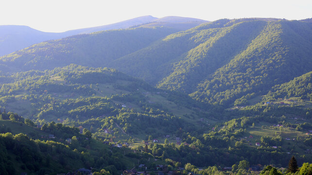 Picturesque Mountain Village with Scattered Houses on Green Slopes in the Ukrainian Carpathians.