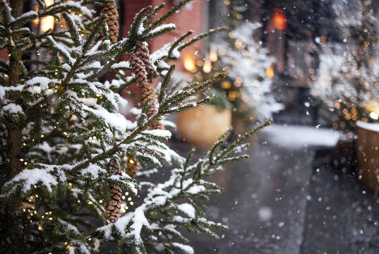 Snow-covered evergreen tree with pine cones in a winter street scene, soft snowfall and illuminated decorations creating a festive atmosphere in the background