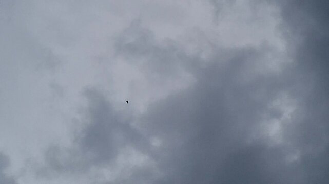 Dark stormy sky with thick gray rain clouds and a small bird flying in the distance
