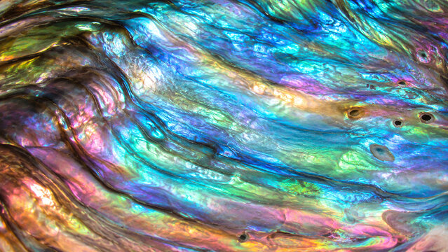 Abalone shell interior nacre rainbow iridescence macro showing vivid peacock blue teal emerald green golden yellow violet rose-pink structural colour seamless abstract surface