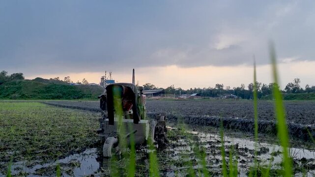 A tractor parked in a muddy flooded rice field during sunset machinery agriculture farm paddy mud