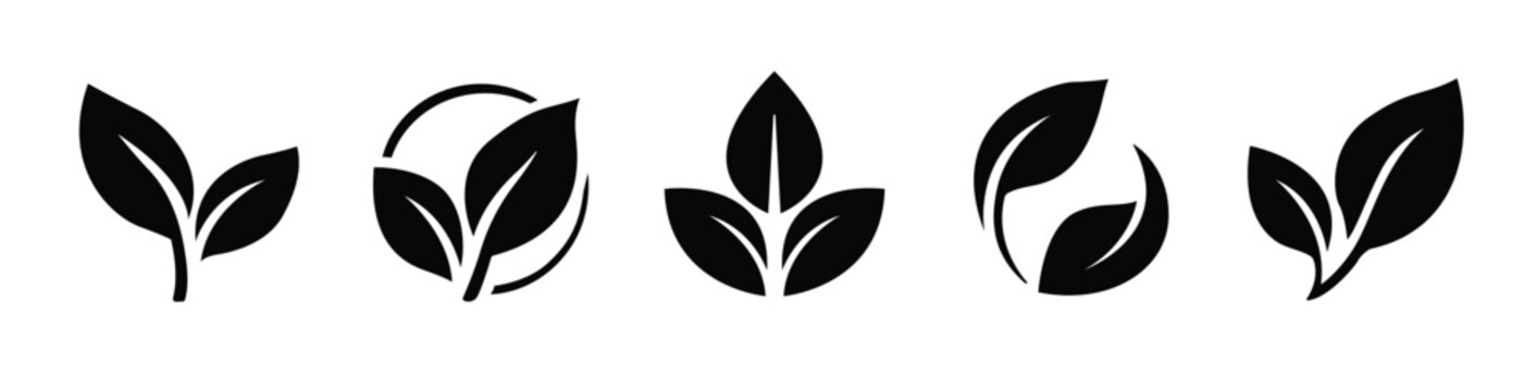 Organic foliage emblem leaves icon collection with elegant botanical shapes for eco branding, natural products, and sustainable packaging.
