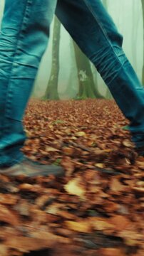 Legs of an Old Man Walking on a Carpet of Dry Autumn Leaves In Foggy Mountain