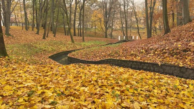 Peaceful autumn scenery combining flowing water and seasonal foliage. Suitable for sustainability, eco lifestyle, environmental awareness and responsible living themes
