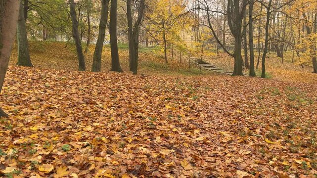 Warm autumn colors and natural textures creating an attractive seasonal background for advertising, branding and commercial projects.