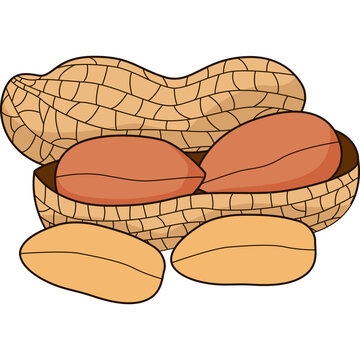 Peanuts Vector Illustration
