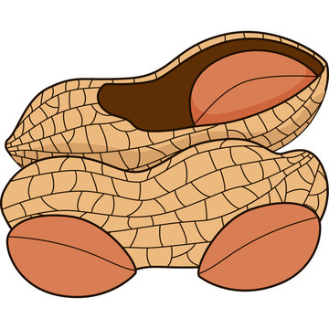 Peanuts Vector Illustration