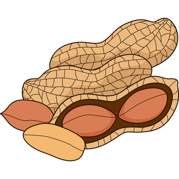 Peanuts Vector Illustration