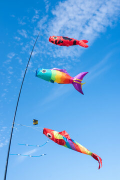 Colorful fish shaped wind socks flying in blue sky outdoors