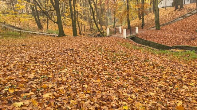 Vibrant autumn park covered with a dense carpet of golden leaves. Symbolic visual representing abundance, prosperity, wealth, growth and natural richness