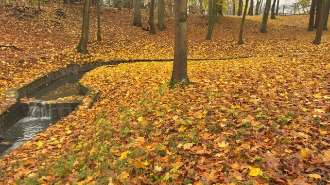 Beautiful autumn park covered with colorful foliage. Ideal visual for leisure, weekend recreation, tourism and outdoor enjoyment.