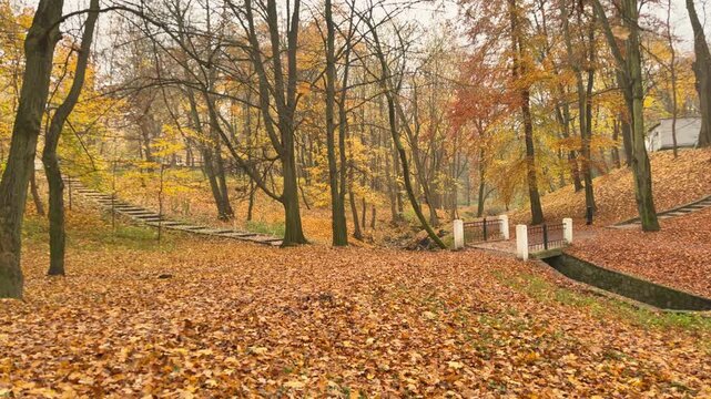 Traditional European park landscape during autumn season. Suitable visual for heritage, preservation, tourism, history and environmental protection themes