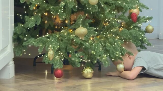 Small child hiding or searching under Christmas tree. Curious playful holiday moment.