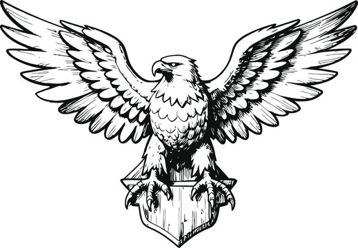 majestic eagle with outstretched wings perched on a shield, detailed black and white illustration