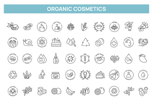 Natural Cosmetics and Skincare Icons Set