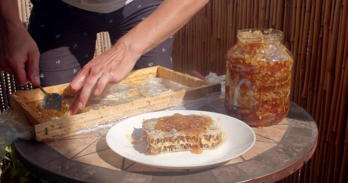 close-up outdoor workbench view as hands scoop and scrape thick amber honey from wooden beekeeping slats, while honeycomb pieces rest on white plates in sunbeams
