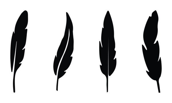 Collection of four black feather silhouettes featuring elegant curved shapes isolated on white background for artistic design branding or vintage style projects.