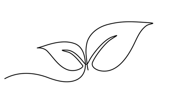 Animated leaves continuous one line drawing. On white background minimalist agriculture and biological science symbol 4k animation video