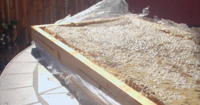 low-angle close view of hexagonal wax cells, capped and uncapped, with glossy amber honey shine under sunlight and wrap coverage on outdoor table, harvest detail
