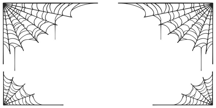 vector illustration of a spider web