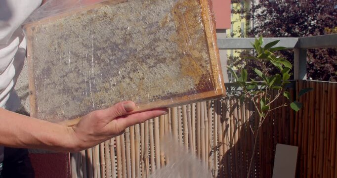 closeup of hands holding capped honeycomb inside clear-plastic wrapped wooden hive container, tilting so amber honey pours downward outdoors on warm sunny balcony
