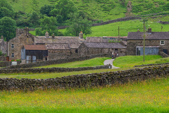 Blick &uuml;ber Wildblumenwiesen zum Dorf Muker, Yorkshire Dales