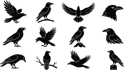 Obraz premium Black raven bird silhouettes set in various flying poses