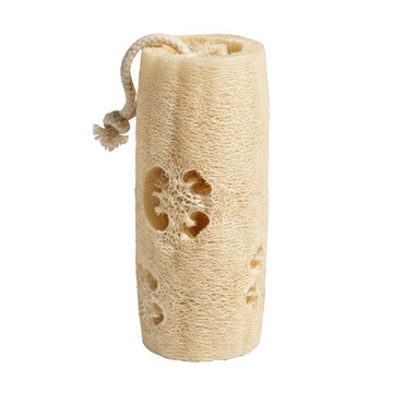 A beige natural sea sponge with a string