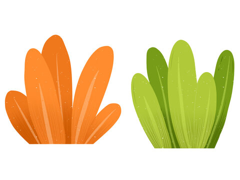 colorful stylized leaf illustration 