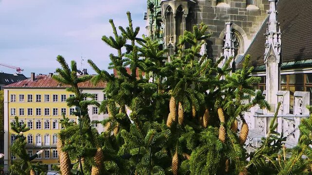 Geschm&uuml;ckte Weihnachtsbaumspitze vor dem Neuen Rathaus am Marienplatz in M&uuml;nchen