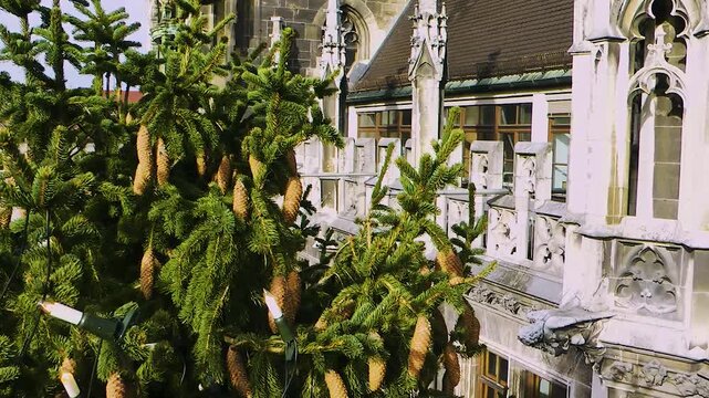 Geschm&uuml;ckter Weihnachtsbaum und Neues Rathaus mit Glockenspiel aus erh&ouml;hter Perspektive