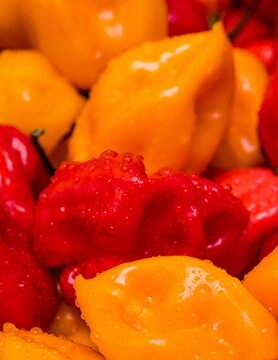 Hot chilli peppers at a chilli festival.