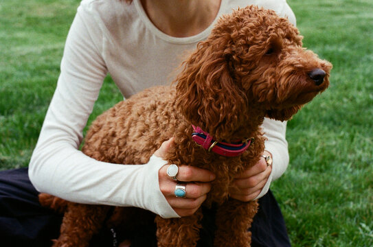 Anonymous owner hugging her dog
