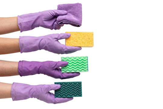 Four hands wearing purple rubber gloves holding cleaning sponges and a folded microfiber cloth for housework isolated on a transparent background