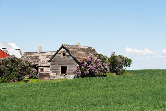 Abandoned Farmhouse Camas Prairie Idaho