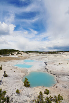The Norris Geyser Basin in Yellowstone National Park, Wyoming