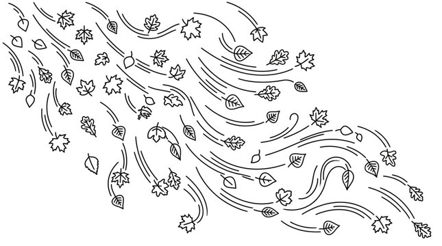 Black and white outline vector illustration of autumn leaves blowing in the wind with flowing lines creating a dynamic fall season design