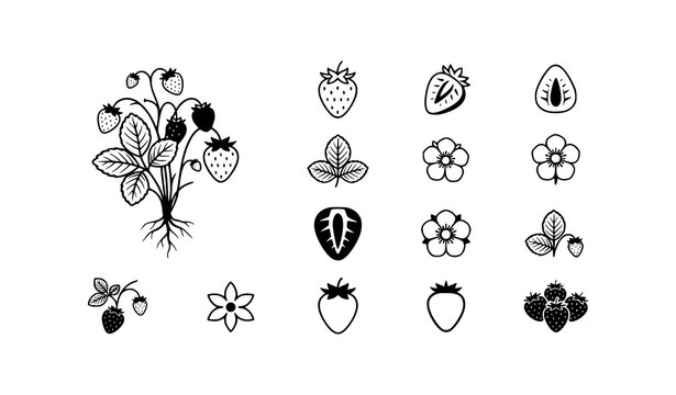 Black Strawberry Tree And Fruit Icons, Minimal Botanical Fruit Vector Pack For Print And Web Design