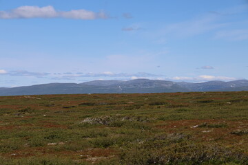 Fototapeta premium Mountain plateau at Flatruet with distant mountains under a clear summer sky
