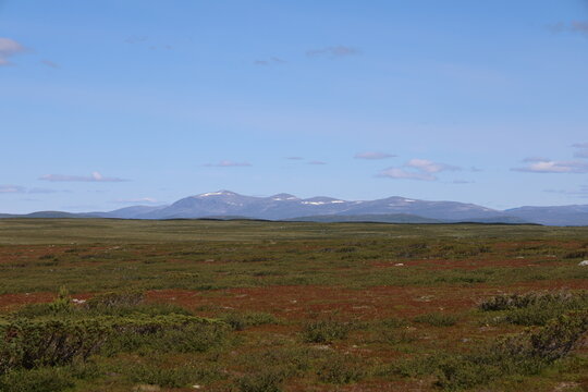 Mountain plateau at Flatruet with distant mountains under a clear summer sky
