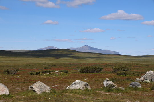 Mountain plateau at Flatruet with distant mountains under a clear summer sky
