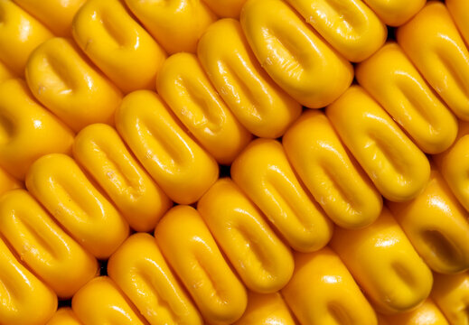 Close-up view of vibrant yellow corn kernels packed tightly together on a cob. Macro view of fresh corn kernels on a cob