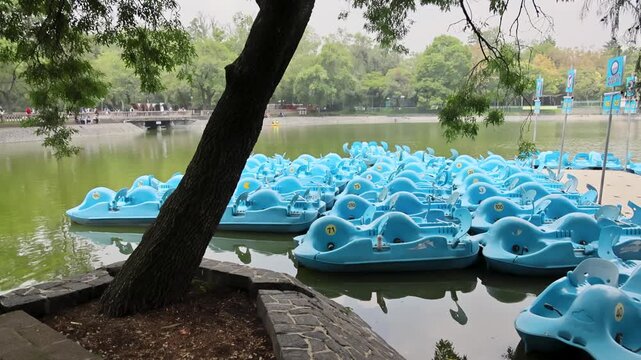 Blue Pedal Boats Clustered On Chapultepec Park Lake Mexico City