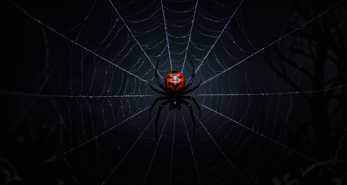 Spider with a Halloween face on a web in a dark forest with trees and glowing pumpkins in the background.