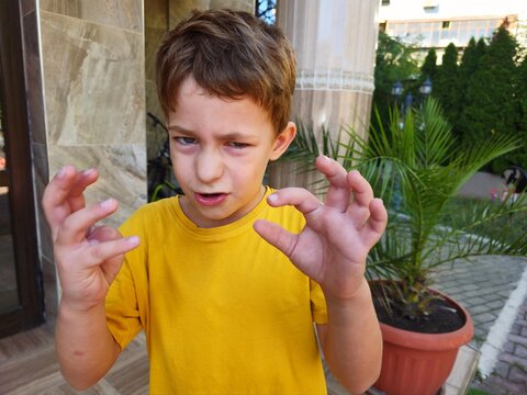 Little boy making funny faces and fooling around outdoors in the yard during summer, showing a playful mood and expressive gestures